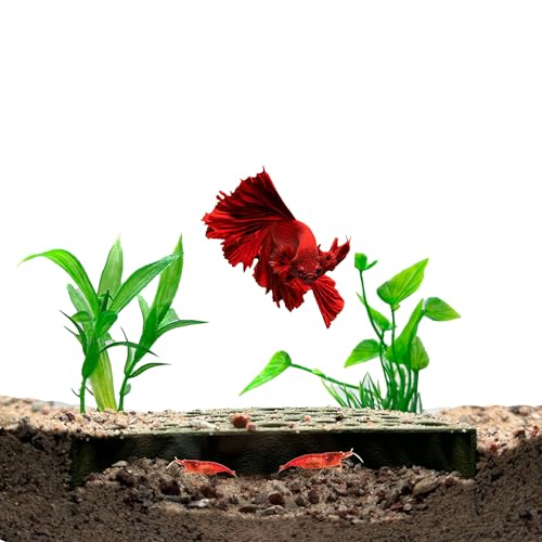 CTWPets Shrimp Breeding Protector | Shrimp Breeding Cave Aquarium Tunnel (Forest Green) - color: Forest Green
