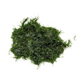 SubstrateSource Live Aquarium Plants on Driftwood, Lava Rock, Moss, Fiber Mat - Freshwater Fish Tanks - Easy, Beginner Friendly (Fissidens Fontanus, (One Golfball)) - color: Fissidens Fontanus - Golf Ball, size: 1 Pack