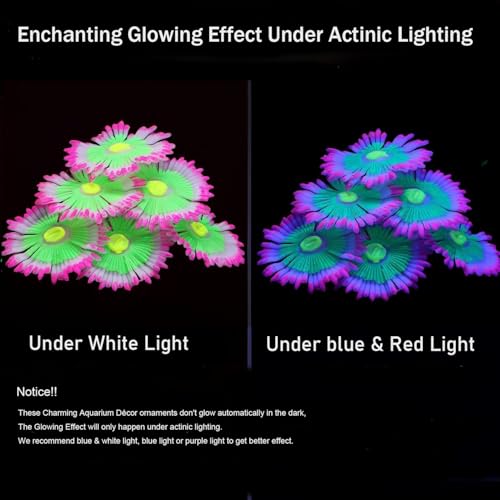 ZtohPyo Glowing Effect Soft Anemone Aquarium Fish Tank Decorations Silicone Glow in The Dark Artificial Ornament Plants for Aquarium Landscape Small/Large Fish Bowl Decor Accessories - color: Pink