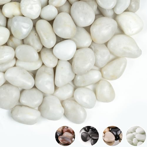 White River Rocks 20lbs, 1-2Inch Natural Pebbles for Plants, High Polished Decorative Stones for Aquarium Vase Filler Fish Tank Landscaping Garden - color: White, size: 20 Pounds