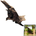 Natural Driftwood Tree Decoration for Aquarium, Fish Tank Plant Stump Ornament, Random Style(5-10cm)