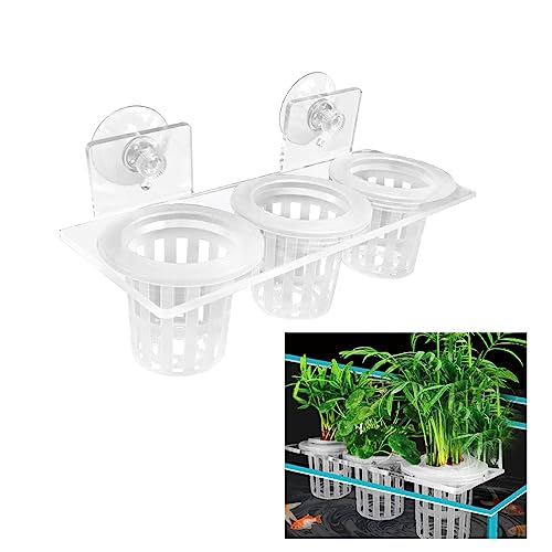 Upgrade Acrylic Aquarium Plant Holder Hanging Aquatic Plant Holder,Adjustable Suction Cup Fish Tank Pot for Hanging Cultivation and Aquarium Decor - color: White + Suction Cup