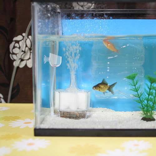 Mipcase 4Pcs Aquarium Plant Holders with Suction Cups Compact Fish Tank Feeder Cups for Bloodworm Shrimp Feeding Durable Aquarium Accessories for Aquatic Plant Pots