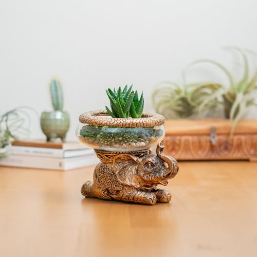Good Luck Elephant Terrarium Bowl – Antique Gold Elephant Figurine with Removable Glass Bowl, Succulent Planter, Candle Holder, Air Plant Display & Zen Home Décor Accent