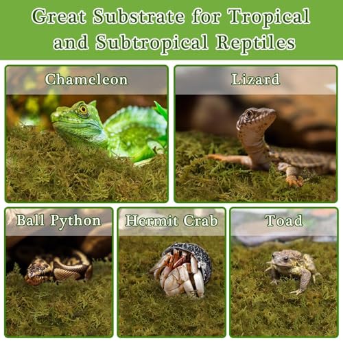 Halatool 1.1LB Natural Sphagnum Moss for Reptiles- 25QT Green Moss for Terrarium Plants Long Fiber Reptile Moss for Leopard Gecko Snake Hamsters Tortoises Frogs Lizards Salamanders - size: 1.1LB