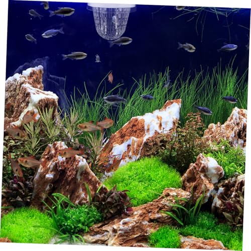 HEMOTON 2pcs Aquarium Fish Breeding Box Isolation Hatchery for Guppies Floating Design Easy Installation Versatile for Fish Tank