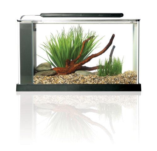 Fluval SPEC Aquarium Kit, Aquarium with LED Lighting and 3-Stage Filtration System, 5-Gallon - color: Black, size: 5 Gal.