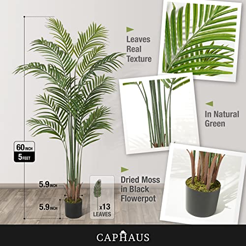 CAPHAUS 5FT Tall Artificial Palm Tree Indoor - Large Fake Palm Plant for Living Room, Realistic Faux Tree UV Resistant Low Maintenance for Home Office Decor (13 Trunks) - size: 5 FT