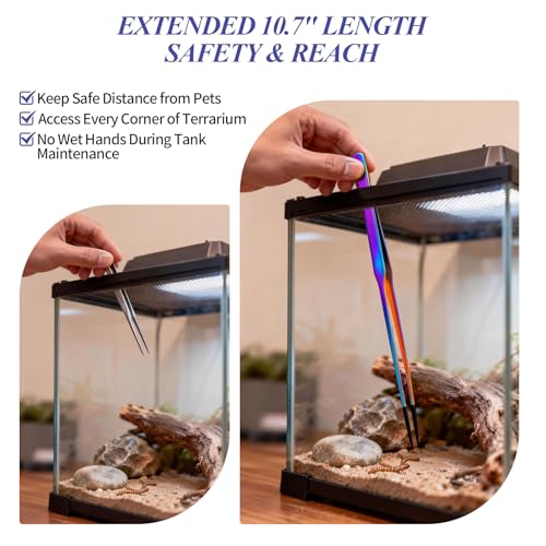 2PCS Reptile Feeding Tongs,10.6" Extra Long Stainless Steel Tweezers with Rubber Tips, Bearded Dragon Lizards Aquarium Straight and Curved Tweezers for Snake Feeding, Terrarium, Aquarium(Colorful) - color: Colorful