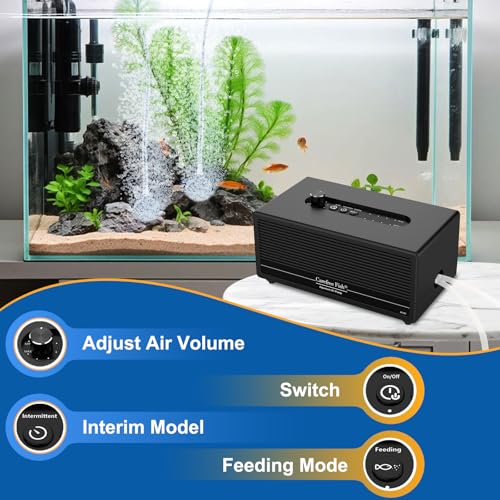Carefree Fish 6W USB Lithium Battery Air Pump Auto Start During Power Outage Dual Air Outlets Work for 15~96 Hours with 2 Air Stones and 15Ft Silicone Tubing