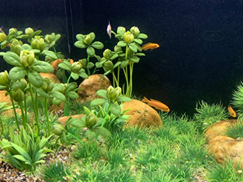 Artificial Green Water Plants Flower Set 18 Pcs, Fish Tank Aquarium Decorations, Made of Soft Plastic