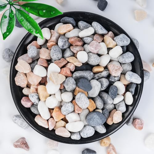 SIDONG 10 LB Natural Mixed Color Gravel Pebbles, 2/5 Inch Small Pea Gravel Stones, Decorative River Rocks for Succulents, Aquariums, Vases, Indoor Plants, Garden Landscaping, DIY - color: Mixed Jade, size: 10 Pounds