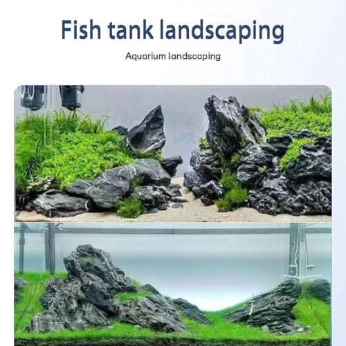 Dragon Stone Aquarium Rock Seiryu Stone for Aquariums, Fish Tanks, Bonsai, Terrariums, Wargaming Dioramas, Indoor or Outdoor Gardens-40lb(2-10 Inch) - size: 40Lb（2-10inch）
