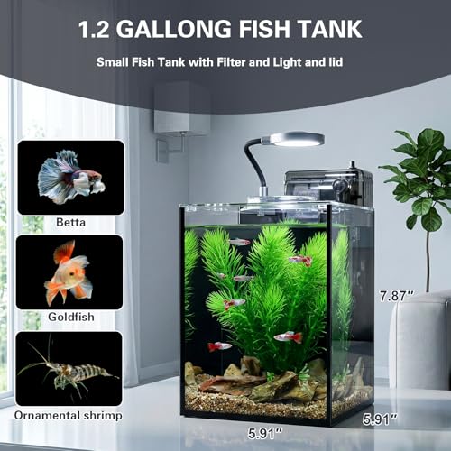 1.2 Gallon Small Aquarium Set Glass Fish Tank,Desktop Small Aquarium Kit for Beginners and Children to Keep Betta Fish, Goldfish, Shrimp, and Aquatic Plants (Black, 1.2 Gallon (Complete Kit)) - size: 1.2 Gallon (Complete Kit)