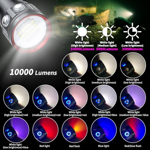 L15 10000 Lumens Underwater Video Light - 100m (330ft) Waterproof Dive Video Light with USB-C Charging, Professional Floodlight for Scuba Diving, Snorkeling & Underwater Photography - color: Sealion-L15