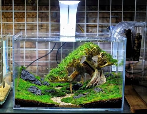Azil Aquascape Bonsai Driftwood Tree 10” – Premium Natural Aquarium Decor for Fish Tanks, Freshwater Aquariums, Hardscape & Planted Tanks - size: bonsai 10"
