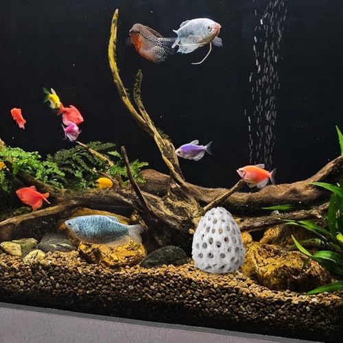 Shrimp Hides for Aquarium Plastic Aquarium Fish Tank Tunnel with Suction Cup, Betta Habitat Cave Shelter Hideout for Shrimps Guppy Hiding Resting