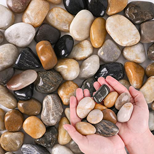 River Rocks for Plants 5.5 LB Small Decorative Pebbles 1"-1.5" Polished Stones Smooth Aquarium Gravel for Fish Tank Vases Indoor Planters Outdoor Landscaping Garden (88oz) - size: 5.5 LB (88oz), style: Natural