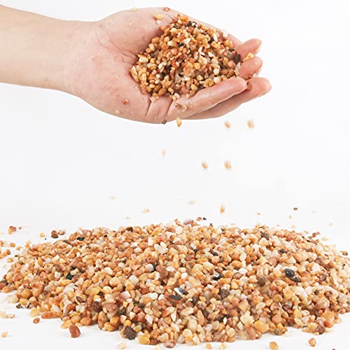 3lb Cactus Pea Gravel Rocks,1/5 Inch Pebbles for Indoor Plants, Natural Succulent Rock and River Rocks Decorative for Aquariums, Vases, Terrarium, Outdoor Gardening, Top Dressing for Potted Plants - color: Mixed Colorful, size: 3LB