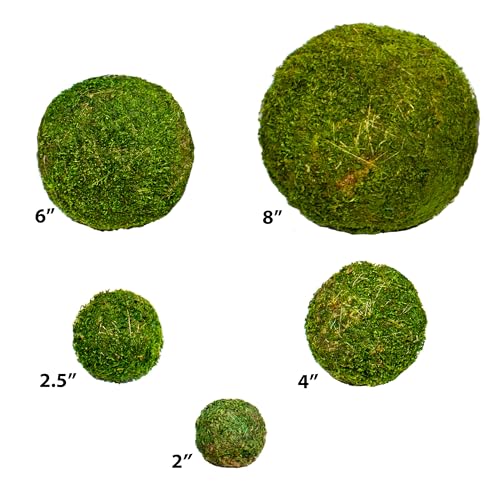 SuperMoss (21648) Moss Ball, Fresh Green, 4" - color: Fresh Green, size: 4"