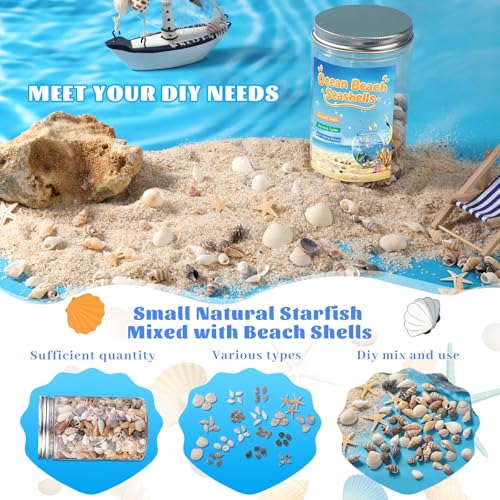 1200 Pcs Tiny Sea Shells, Seashells for Crafts with Small Shells Starfish Mixed Ocean Beach Spiral Seashells for Beach Party, Fish Tank and Vase Filler, Wedding Decor, Diy Jewelry Candle Making