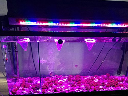 Senzeal 6PCS Aquarium Live Red Worm Cone Feeder Plastic Frozen Brine Shrimp Fish Food Feeding Cup for Fish Tank with Suckers