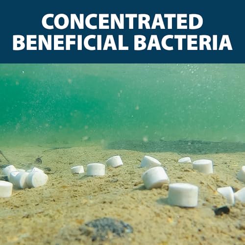Airmax MuckAway Natural Beneficial Bacteria for Outdoor Ponds & Lakes, Muck, Sludge & Noxious Odor Solution, Easy to use Enzyme Tablets, Cleaner Beach & Shoreline, Fish, Pet & Wildlife Safe, 48 Scoops - size: 48 Scoops