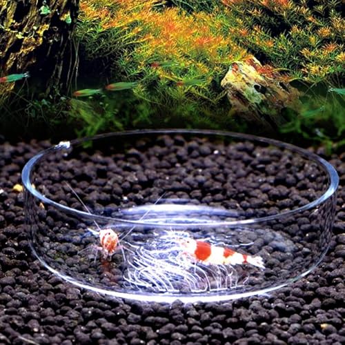 Acrylic Shrimp Feeding Dish – Flower Design Aquarium Food Bowl for Small Reptiles, Easy Clean Fish Tank Feeder Tray