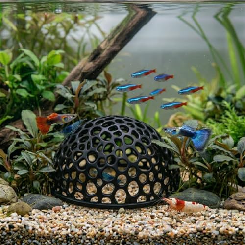 2-Pack Black Aquarium Shrimp Hideouts – Hollow Half-Sphere Shrimp Caves, Fish Tank Shelter Ornament for Small Fish & Shrimp, Porous Nano Tank Habitat