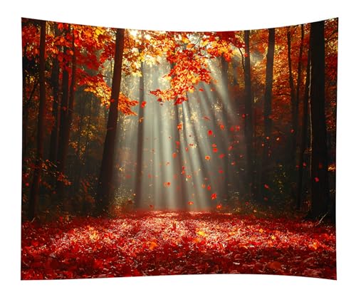 WODEJIA Autumn Forest Tapestry, Red Maple Leaves Fall Landscape Wall Hanging, Sunlight Through Trees Nature Tapestry for Bedroom Living Room Dorm Decor, Art Home Decoration Gift（79"x59"inches） - color: Autumn Leaf Forest, size: 79"L x 59"W
