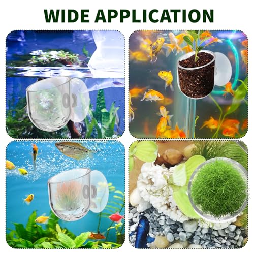 Yolev Aquarium Plant Holder 2Pack Clear Plant Holder for Fish Tank Hanging Fish Tank Plants Pot Holders for Aquarium Planter Cup with Suction Cup