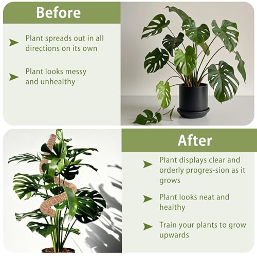 2 Pack Moss Pole, 63 Inch Monstera Plant Support, Moss Poles for Climbing Indoor Plants, Bendable Coco Coir Plant Support Stakes for Potted Plants, Pothos, Philodendron - size: 63"- 2 pack