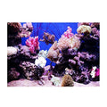 Huhushop Aquarium Background,HD Ocean Seabed Coral Wallpaper 3D Effect, Adhesive Underwater World Backdrop Wall Decoration for Fish Tank(61x41cm)