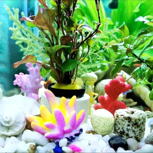 16 Pcs Aquarium Coral Plant Decor,Vivid Multicolor Resin Artificial Coral Reef Sea Star Decor for Fish Tank Aquarium Landscape Table Home Decor Garden Pond Micro Landscape Scenery