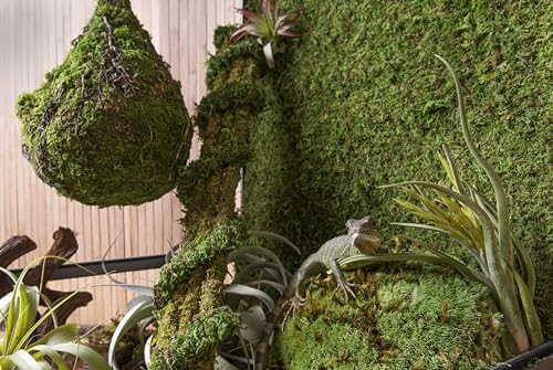 Galapagos (05251 Royal Pillow Moss High Absorbency Terrarium Decor Ideal for Amphibians & Reptiles, 150 Cubic Inc (Approx. 4 oz), Green
