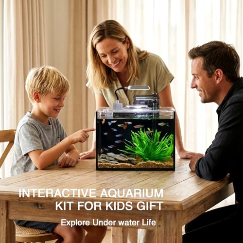 2.5 Gallon Betta Fish Tank, Small Aquarium Kit,Glass Small Fish Tank,Betta Fish Tank with a lid and Light and Filter, Small Transparent Glass Fish Tank with Light and Filter (Black Glass Background) - size: 2.5 Gallon