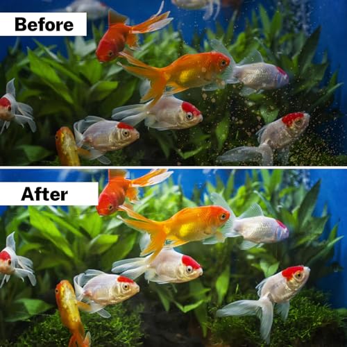 16 Pack Large Filter Cartridges for Tetra Whisper Bio-Bag Filters, Aquarium Replacement Filter Cartridges for Whisper 20i/40i, IQ20/30/45/60, PF20/30/40/60 and Repto Filter