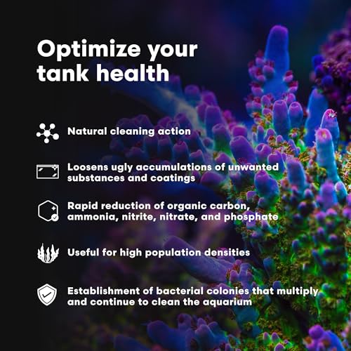 Brightwell Aquatics MicroBacter Clean - Microbial Culture & Enzyme Blend Fish Tank Cleaner - Cleans Live Rock Surfaces for Saltwater Fish Habitats - Aquarium Water Treatments, 33.8 fl oz - size: 1-L