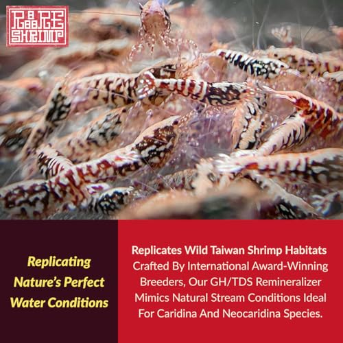 GH/TDS Remineralizer 500mL – Shrimp Tank Accessories for Neocaridina & Caridina | Professional GH TDS Additive | Shrimp Minerals, Molting & Breeding Support | Freshwater Aquarium Use