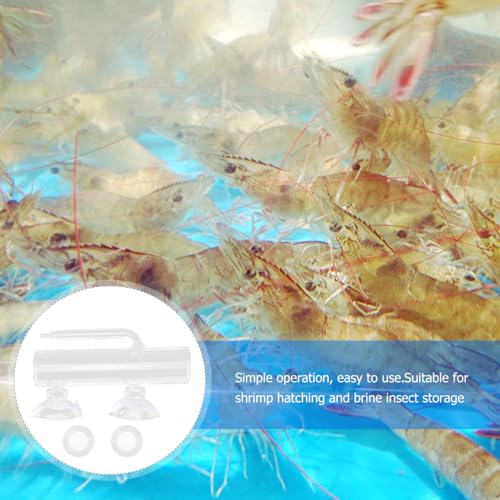 1 Set Fish Tank Incubator Glass Containers Fishing Tumbler Glass Aquarium Shrimp Breeding Box Fish Container Transparent High Borosilicate Glass Crystal Shrimp Fish Eggs
