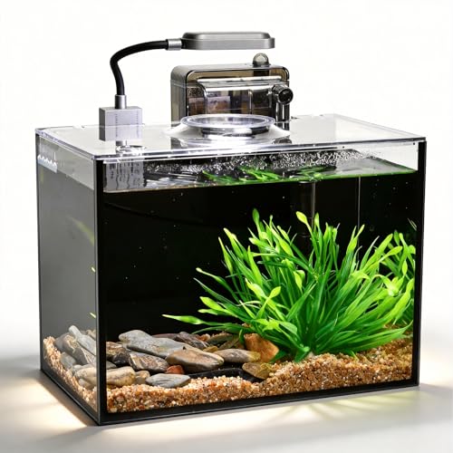 2 Gallon Betta Fish Tank, Small Aquarium Kit,Glass Small Fish Tank,Betta Fish Tank with a lid and Light and Filter, Small Transparent Glass Fish Tank with Light and Filter (Black Glass Background) - size: 2 Gallon
