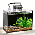 2 Gallon Betta Fish Tank, Small Aquarium Kit,Glass Small Fish Tank,Betta Fish Tank with a lid and Light and Filter, Small Transparent Glass Fish Tank with Light and Filter (Black Glass Background) - size: 2 Gallon