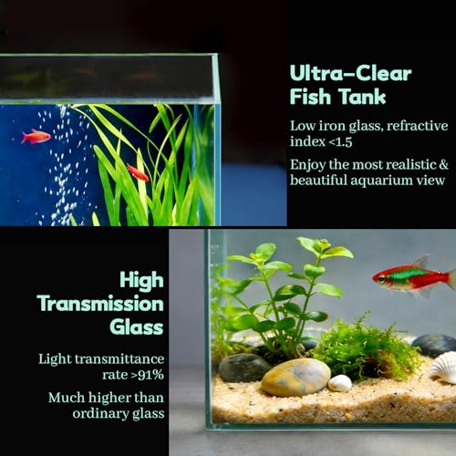 LAQUAL 1 Gallon Fish Tank Starter Kit with Fish Net, 1 Water Changer Siphons & 2 Cleaning Cloth, Crystal Clear Glass Fish Tank, Small Fish Tank/Aquarium for Betta & Goldfish, Nice Home Décor - color: 1 gal square