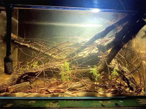 160g Aquarium Driftwood Roots - Bushy Tank Wood for aquascaping -Perfect for Fry, Shrimp or Terrarium,Natural Wood Roots for Aquarium aquascaping