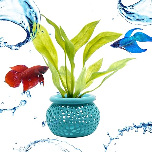Aquarium Plant Pot Holders, Aquatic Plant Holder, Securely Hold Aquatic Plants, Promoting Healthy Root Growth, Fish Tank Aesthetic (Set of 2 (Cyan)) - color: Set of 2 (Cyan)