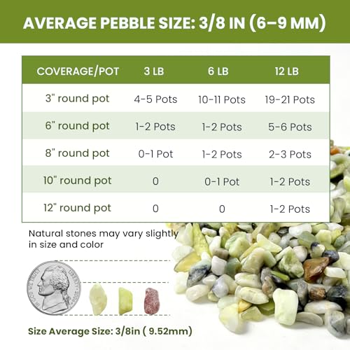 3/8 Inch Polished Decorative Pebbles, River Rocks for Indoor Plants, Succulents, Planters, Vases, Fish Tank, Aquarium Gravel & Landscaping, Jade, 3LB - color: Jade, size: 3LB