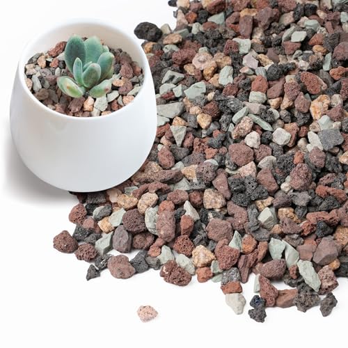 2.5lbs Mix Horticultural Lava Rock for Plants, 1/5 Inch Potting Soil Amendment for Succulents, Cactus & Bonsai, Decorative Volcanic Gravel for Terrarium, Drainage Gritty Rock, Top Dressing - color: Multi
