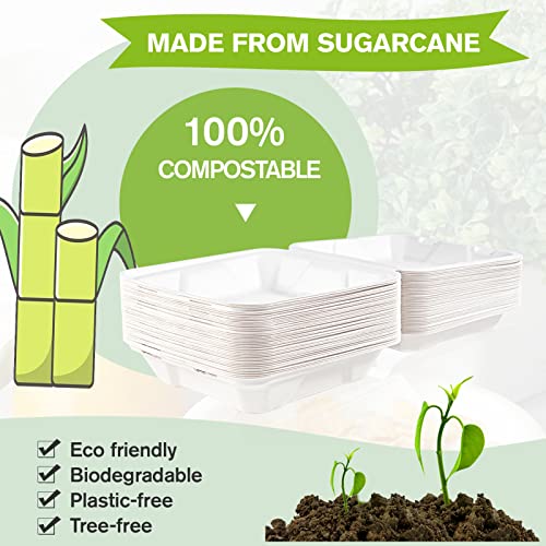 ECOLipak 50 Pack Clamshell Take Out Food Containers, 100% Compostable Disposable To Go Containers, 8X8 inch Heavy-Duty To Go Boxes for Food - color: 8*8 in, 1-Compartment,50Pack
