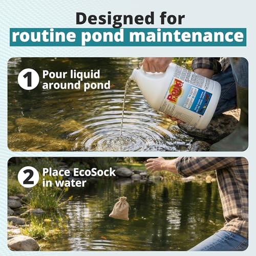 TLC Farm Pond Treatment – PondPerfect Liquid & EcoSock Dual System, Pond Bacteria for Larger Outdoor Ponds – 1 Box Treats Up to 1/4 Acre – 1 Gallon + 1 EcoSock - size: 1 Gallon + 1 EcoSock