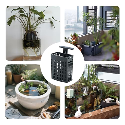 6pcs Upgraded Adjustable Aquarium Plant Holder，Fish Tank Plants Holder,Fish Tank Aquaponics Plant Cultivation and Aquarium Landscape Decoration with Hooks and Suction Cup(Black) - color: Black, size: 6 Pack
